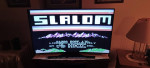 SLALOM NINTENDO NES GAME/SLEEVE