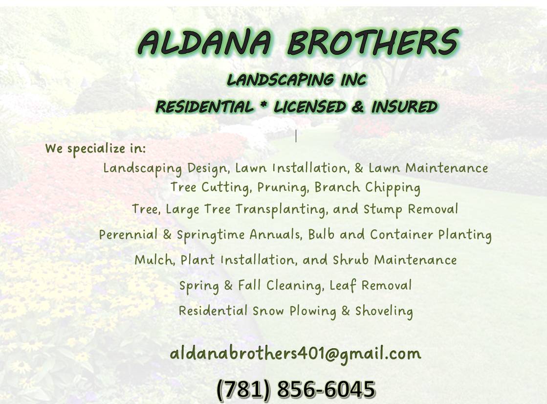 landscaping, snow removal, tree cutting, mulch,  fall cleaning