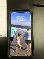 iPhone 13 Pro Max (128 gb)