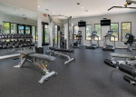 Modern fitness center at Lakeview at Palm Harbor with gym equipment and natural light.