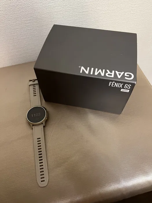 Watch Garmin Fenix 6s