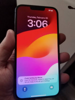 iPhone 13 plus max Unlocked