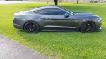 2015 Mustang GT PP Premium in gray parked on grass, showcasing sleek design and custom black wheels.