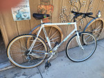 Raleigh Technium 21 Speed Road Bike