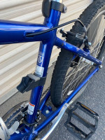 18” TREK Mountain Hybrid Upright Comfort Bike Shimano Flat Protection+