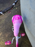 Huffy Heart Strong Girls Bicycle