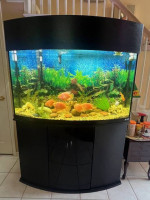 90 GALLON OCEANIC AQUARIUM+11 FISH+FUVAL FILTRATION