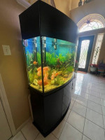 90 GALLON OCEANIC AQUARIUM+11 FISH+FUVAL FILTRATION