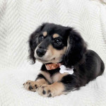 Looking for a new home!