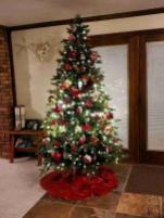 Christmas tree for sale