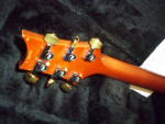 2003 PRS Custom 22 Brazilian Model