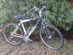 TREK 7300