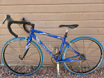 Women's Giant Road Racing Bike - Ultegra Components - 4'11-5'4 Riders