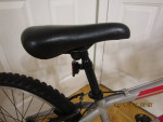 TREK220; 7 year old to 12 year old; 24 inch wheels