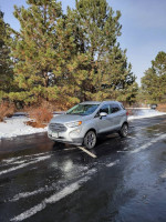 2020 Ford EcoSport Titanium in a snowy park with trees, showcasing its sleek design and shiny exterior.