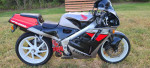 1989 Honda NC30 VFR400R Factory "SEED" Livery