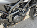 2019 Suzuki SV650X