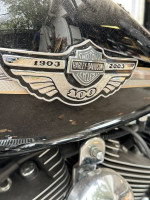 2003 Harley Davidson 100th Anniversary Heritage Softail 1 Owner