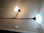 Floor lamp with one gooseneck 2 bulbs