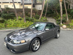 2003 Ford Mustang Terminator Cobra convertible parked in a lush garden, showcasing excellent condition with low mileage.