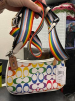 Coach CA176 Teri Shoulder Bag Rainbow Signature Chalk Multi Color Leat