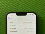 iPhone 13 Pro Max (1 TB) Unlocked