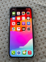 iPhone 12 Pro Max 256 GB unlocked