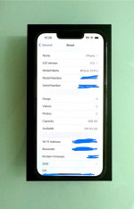 iPhone 13 Pro 256 GB Unlocked with AppleCare+